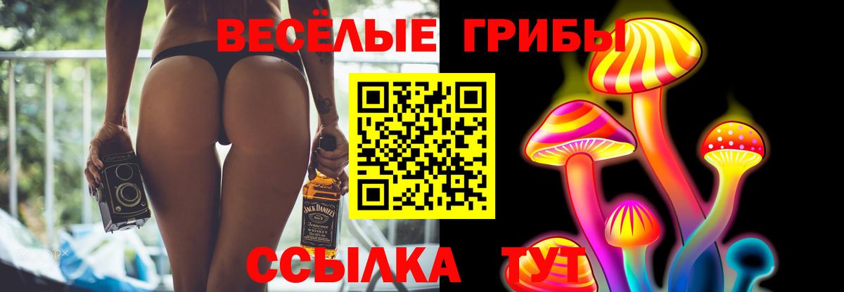 Назрань  Галлюциногенные грибы мицелий  Вход с VPN 